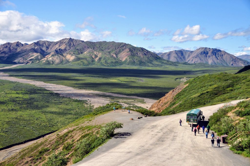 The single road run through the Denali NP, accessible only by transit tour buses 