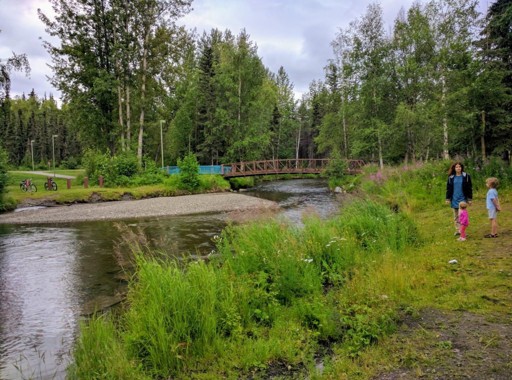 A perfect spot for fishing with kids. Campbell Creek, Anchorage