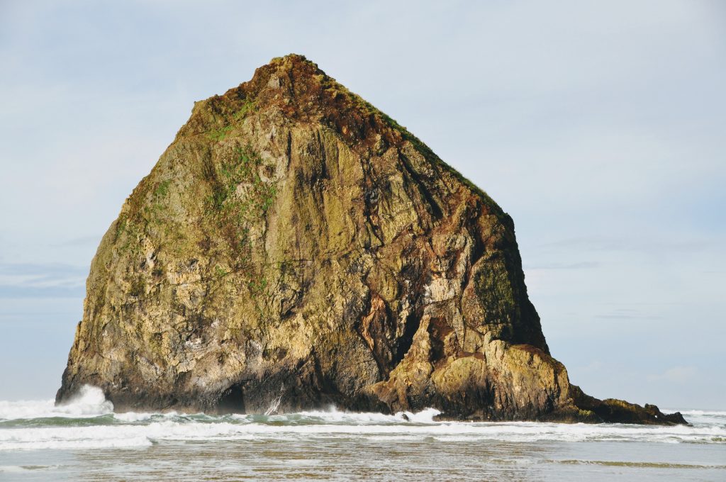 Puffins nest on the grassy meadow on the north face of the Haystack Rock (right upper side of the rock). Cannon Beach