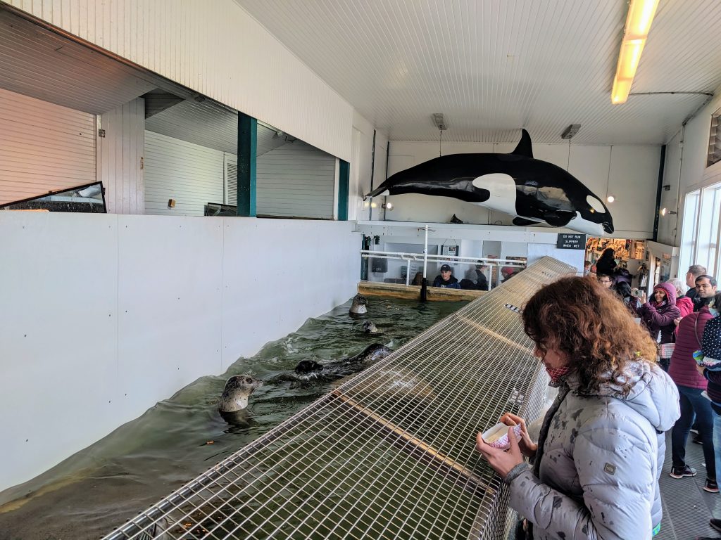 Best of the Oregon Coast in 2 Days with a Family Grazy Goat