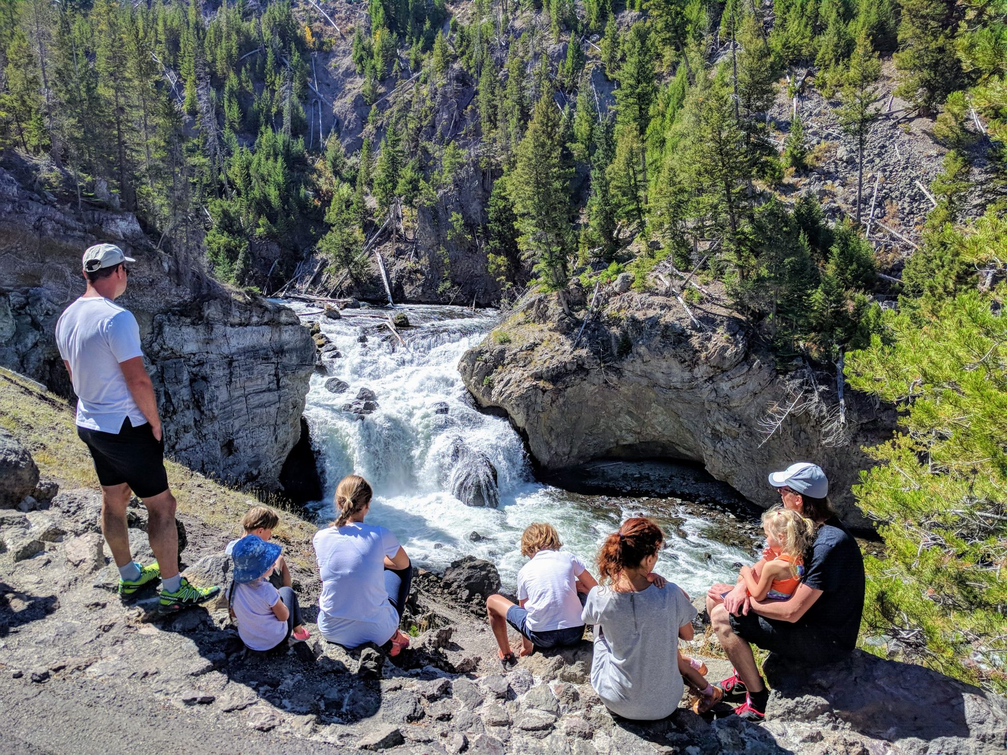 Swimming in Yellowstone National Park Grazy Goat