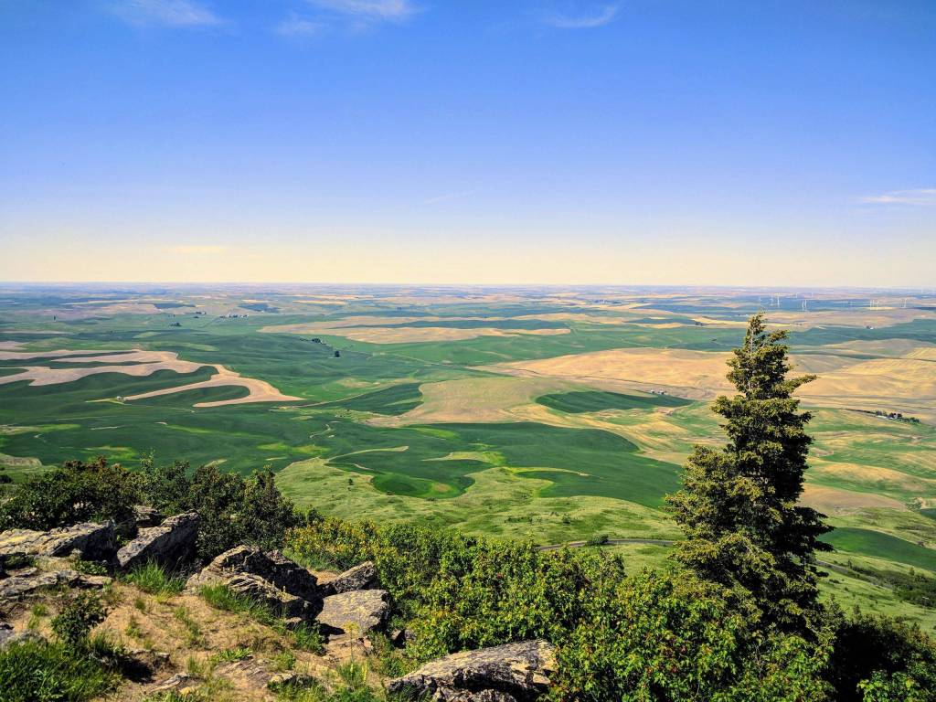 View from the Steptoe Butte, Washington