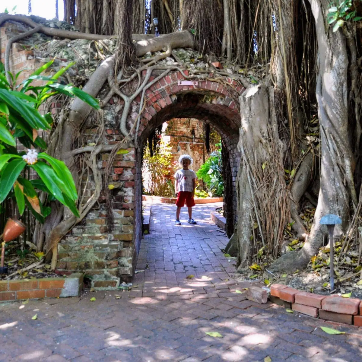 Amazing 8 Things To Do in Key West, Florida, With Kids