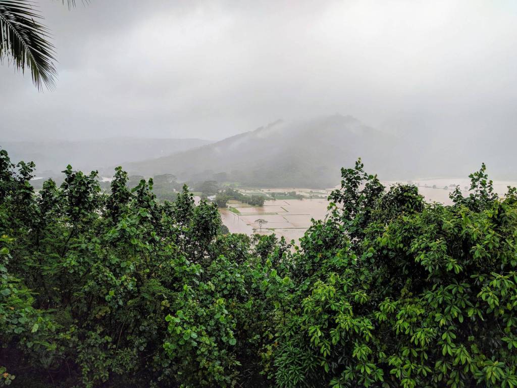 The valley flooded after heavy rain, North part of the Kauai Hawaii