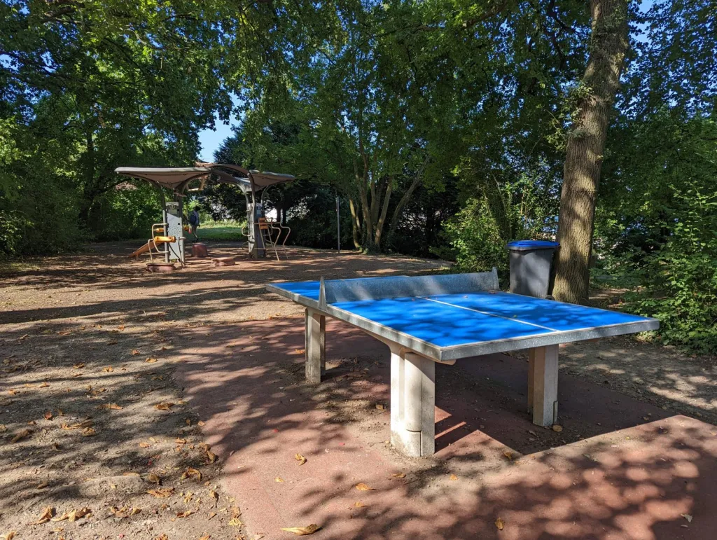 There are plenty of pin-pong tables around Strasbourg. We bought 2 roquettes and 3 balls for 10 euros at the local Decathlon. 