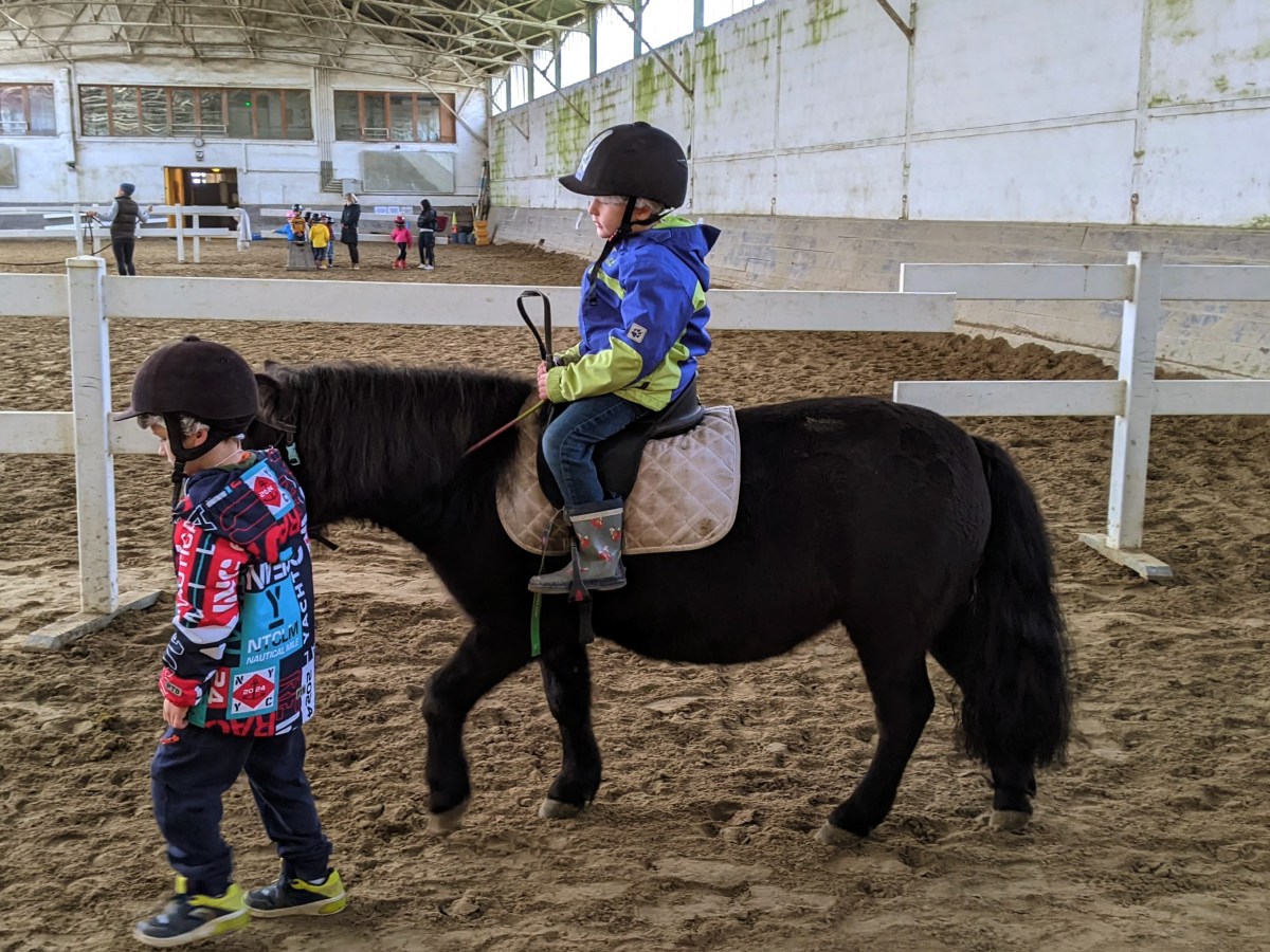Horse Riding School in Strasbourg