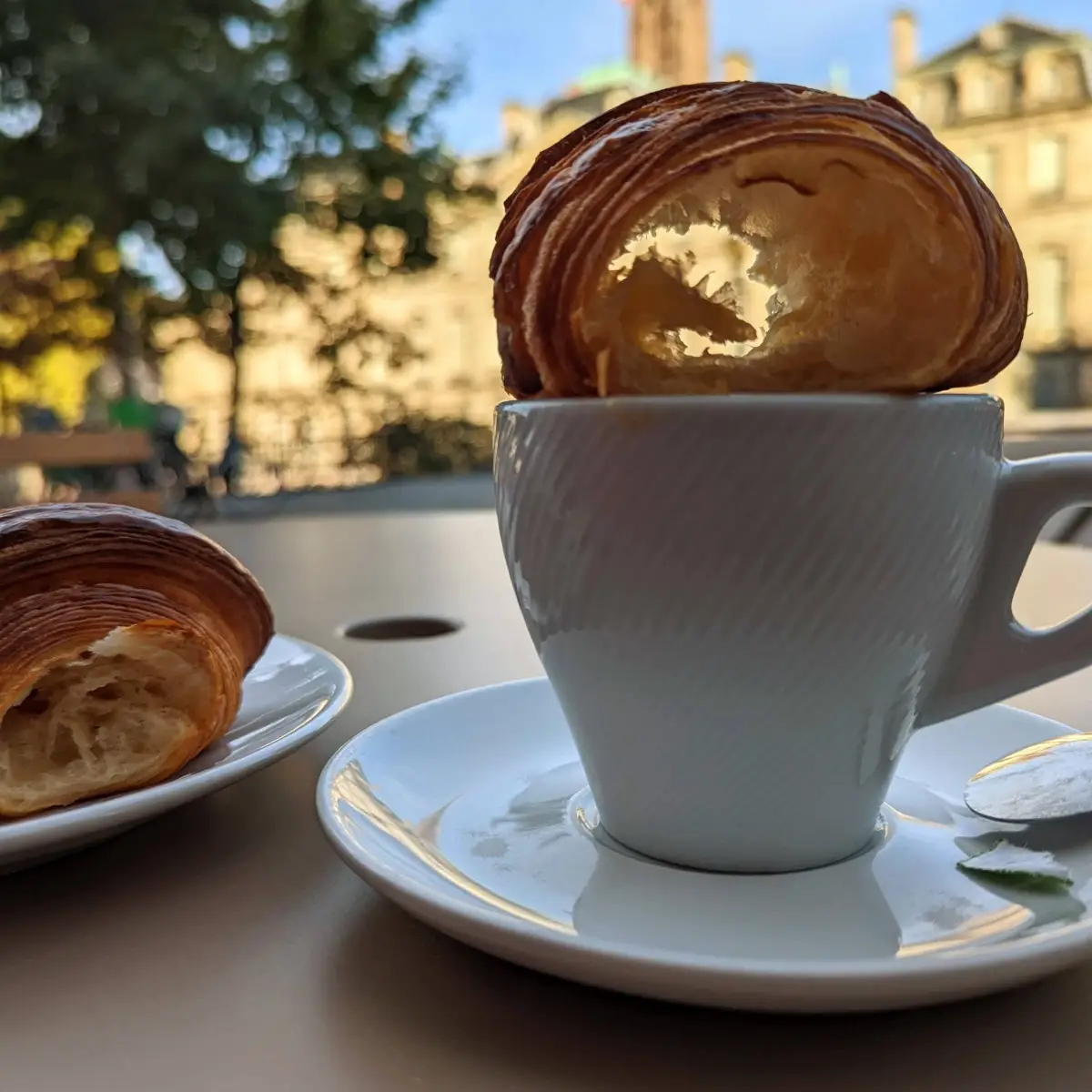 Traditional French Cafe: 7 Places Worth Visiting in Strasbourg