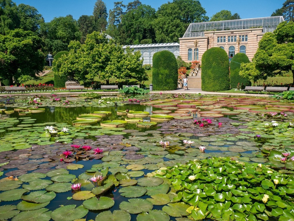 Wilhelma Botanical Gardens