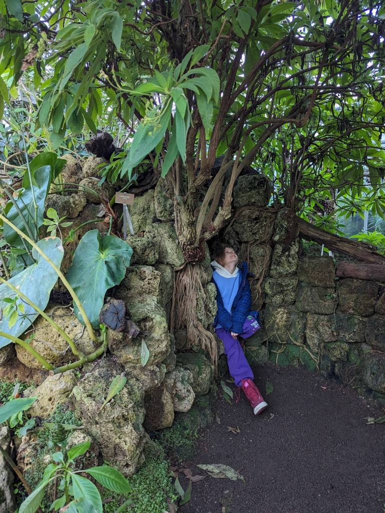 Erika at the tropical greenhouse, Botanical Gardens, Geneva