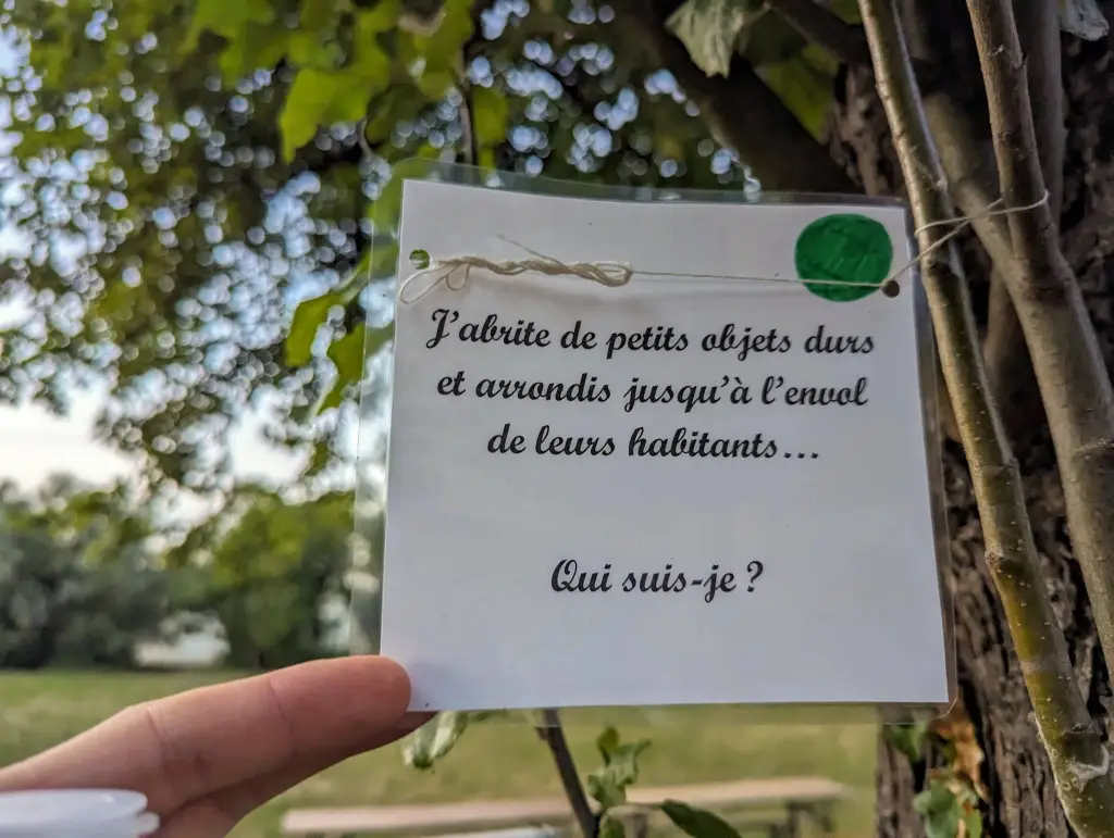 We call this kind of games "quest": you find a clue, and it leads to you another clue, and so on