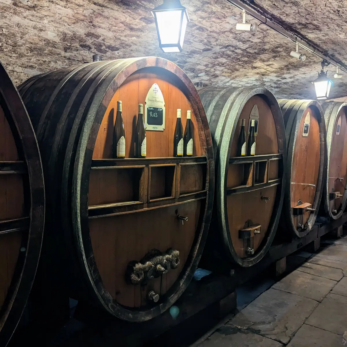 Attention, Wine Lovers: Here’s the Oldest White Wine in The World