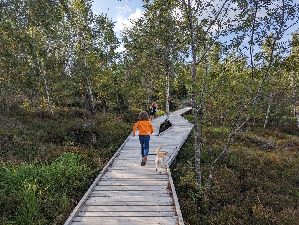 Andrew and Erika rushing through the trail