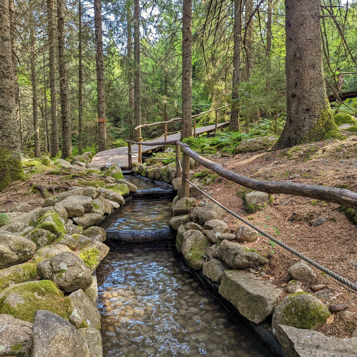 Alsace Summer Activities: Barefoot Trail