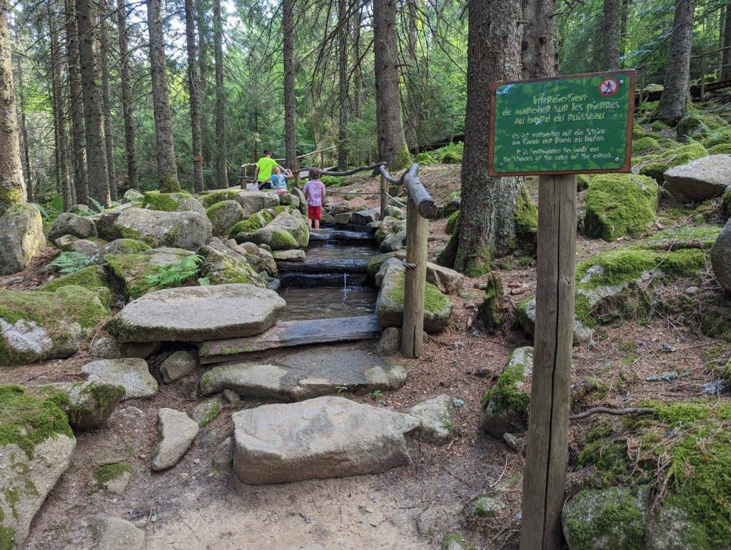 Alsace summer activities: until moving to France we didn't even know such trails exist