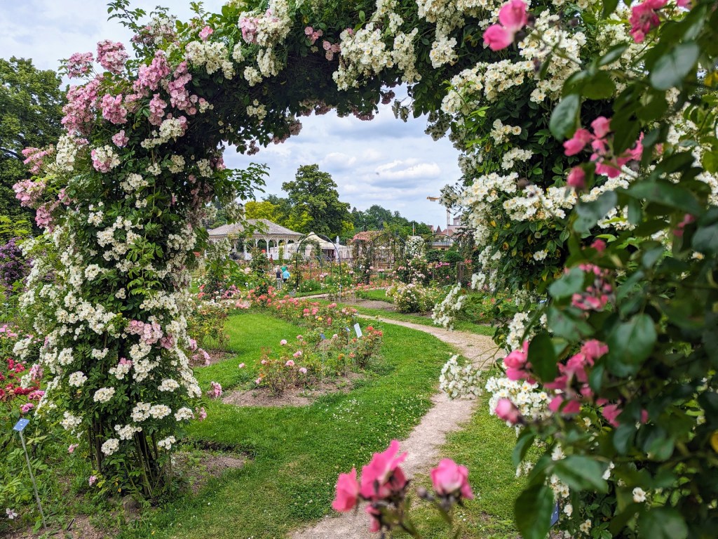 Saverne Rose Garden