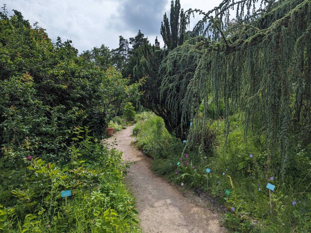 The only con: the garden located very close to the road, so it's far from being a quite place :/