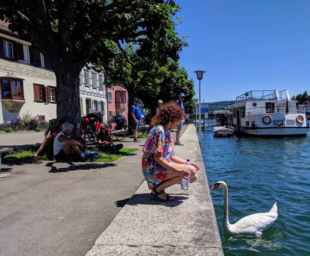 meeting the curious locals :)