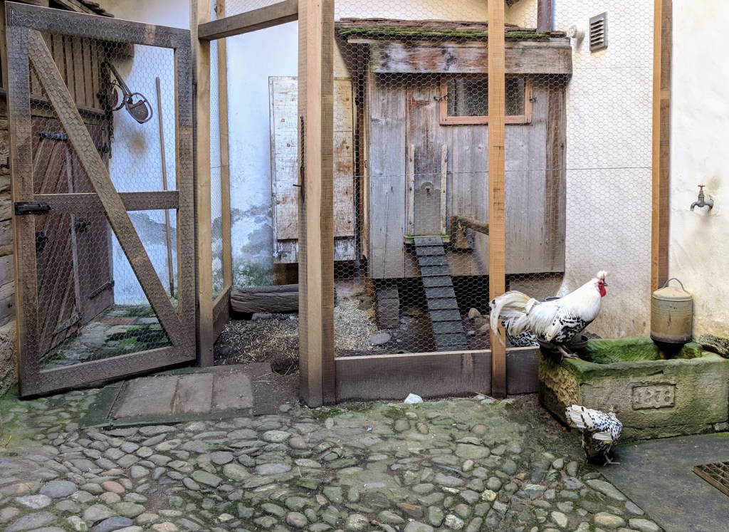 To be honest, this is the first museum ever where we saw livestock lived inside..