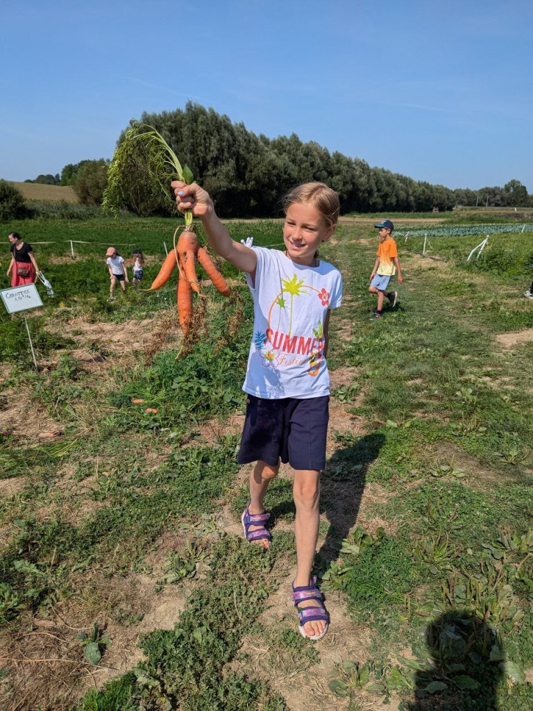 Summer in Alsace: at the Eckwersheim farm