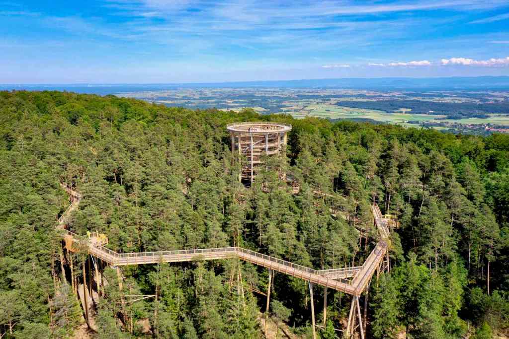Must Visit In France: Cool Tree Top Trail and Tower in Alsace
