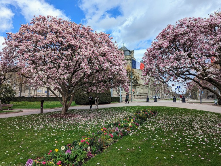 spring in strasbourg