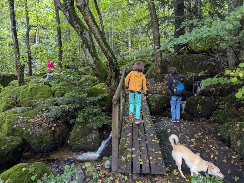 A Fun Family Hike in Black Forest for Kids