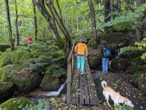 Fun Family Hike in Black Forest