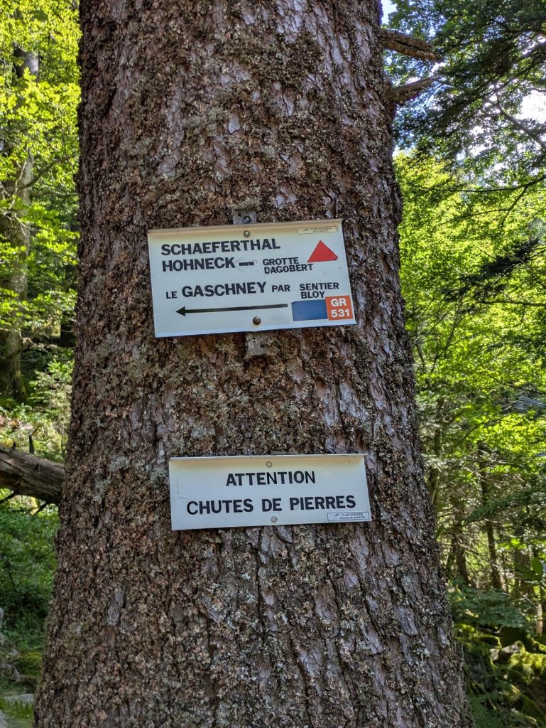 Ours were "Schaeferthal Hohneck"